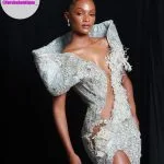 Prom Dress Forshe