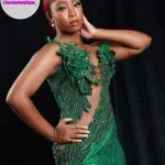 Prom Dress Forshe