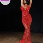Prom Dress Forshe