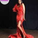 Prom Dress Forshe