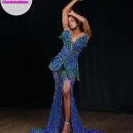 Prom Dress Forshe